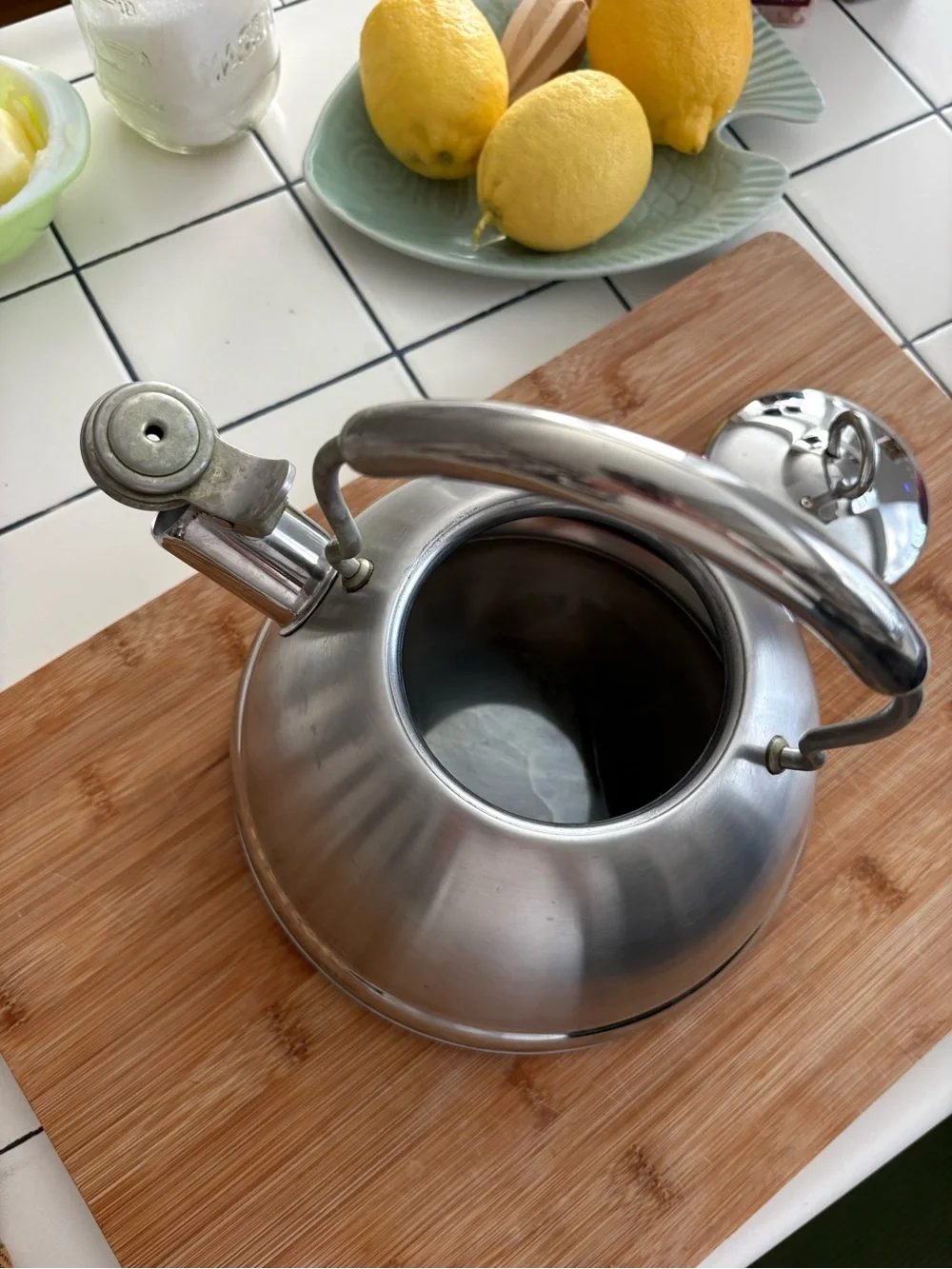 Stainless Steel Whistling Tea Kettle - Brushed Silver